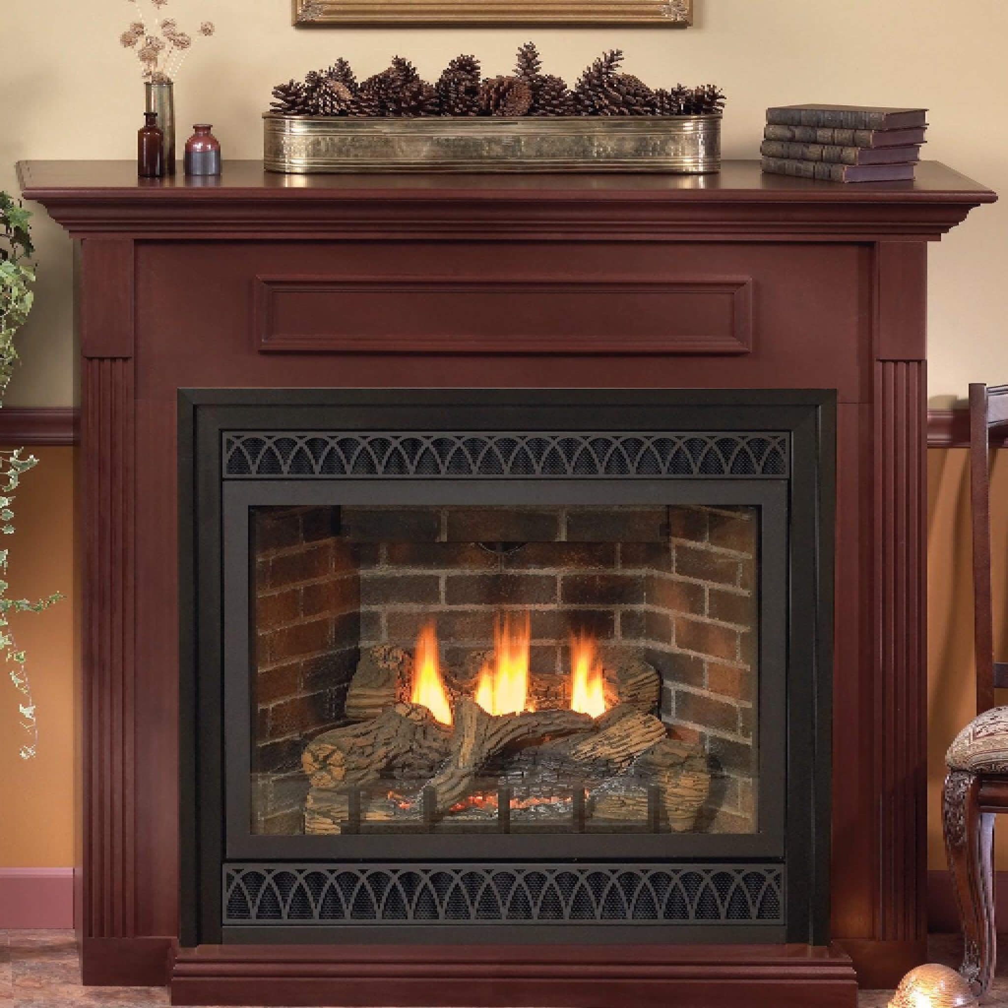 White Mountain Hearth (Empire) Tahoe 36-Inch Propane Gas Direct Vent Deluxe Fireplace [DVD36FP] (SAK67105)